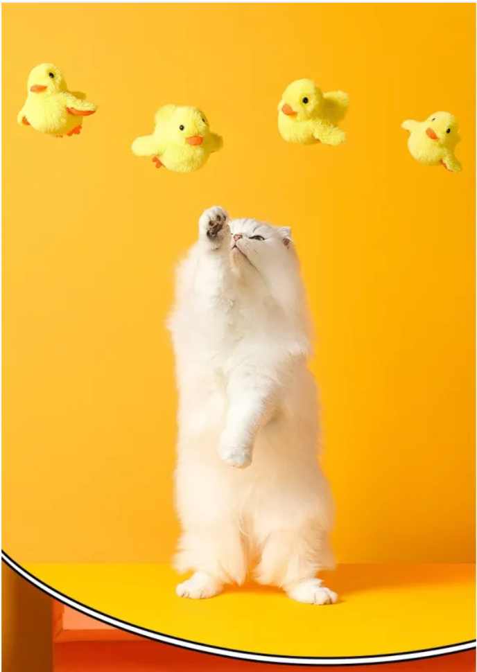 Wiggly duck interactive cat toy | Zunpawi