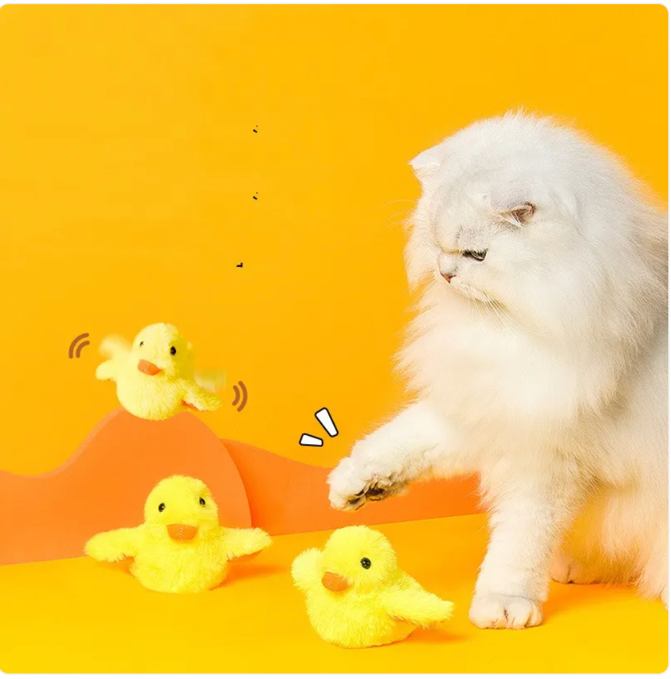 Wiggly Duck Interactive Cat Toy