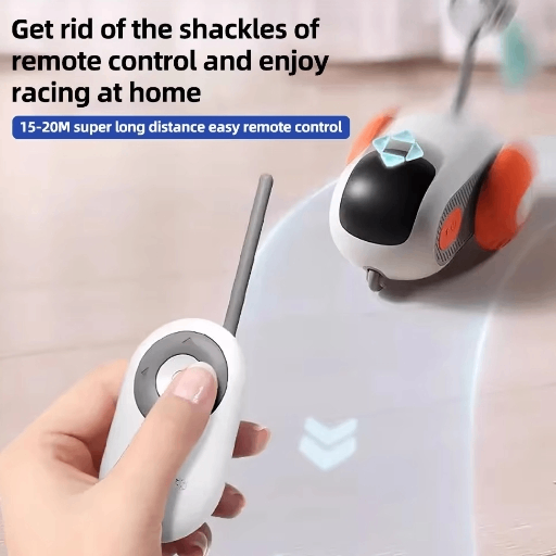 Smart Chase Cat Toy Car