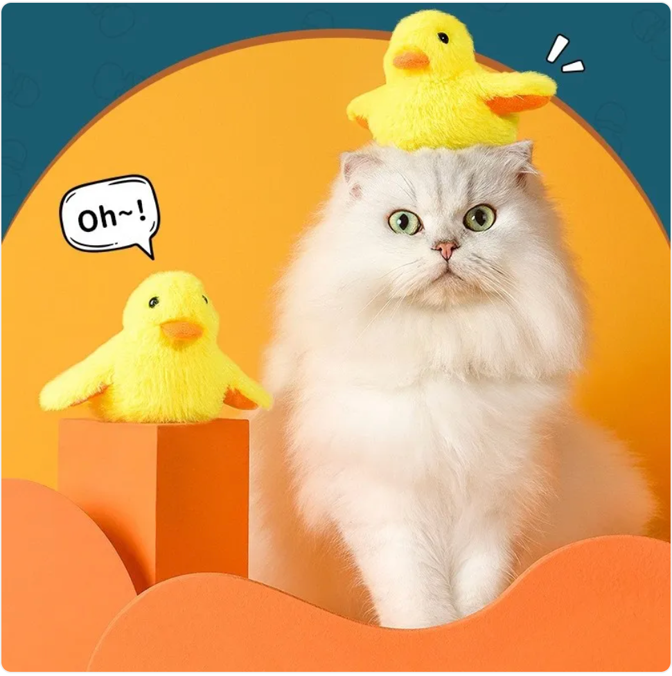 Wiggly Duck Interactive Cat Toy