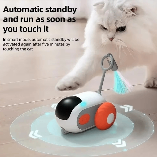 Smart Chase Cat Toy Car