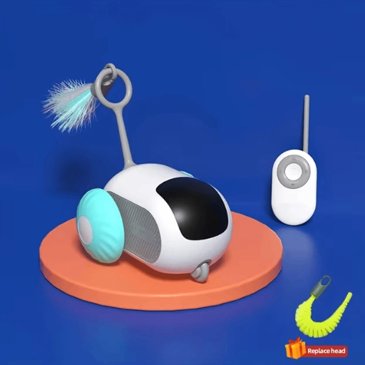 Smart Chase Cat Toy Car