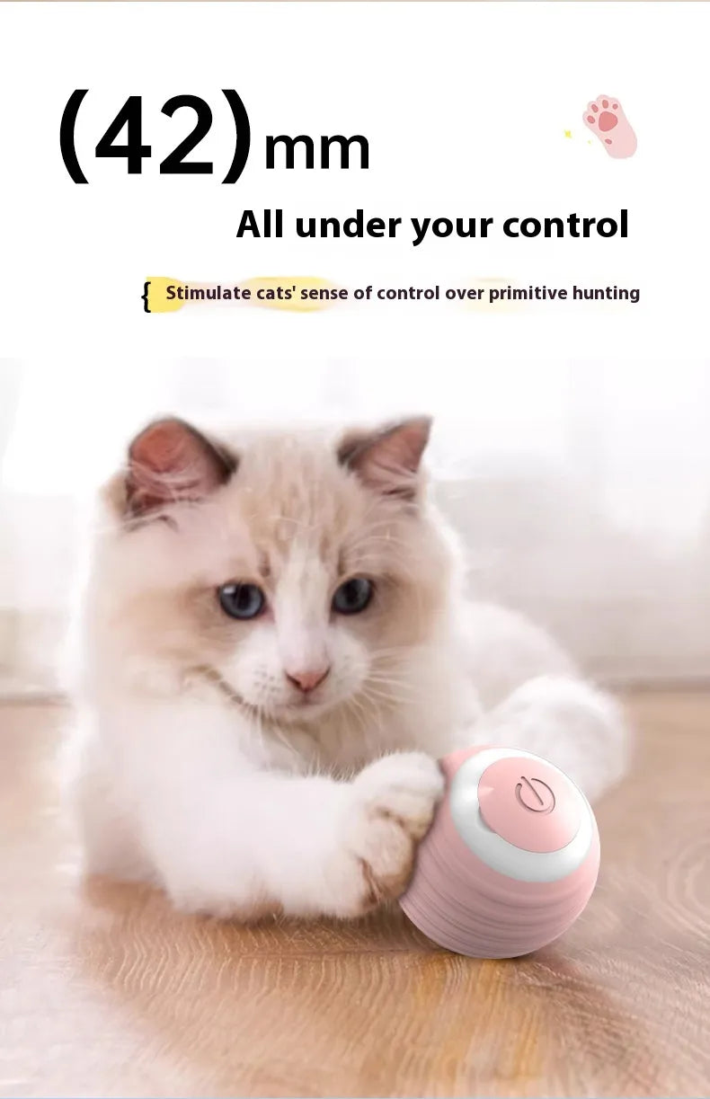 Smart Rolling & Bouncing Pet Ball