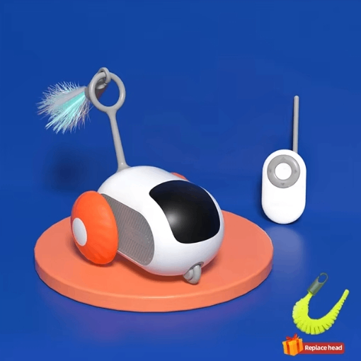 Smart Chase Cat Toy Car