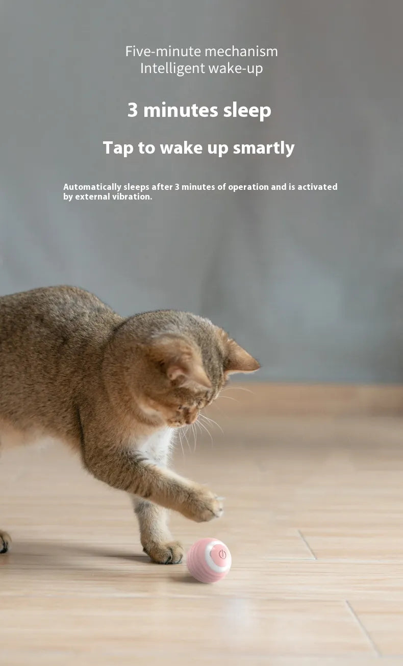 Smart Rolling & Bouncing Pet Ball